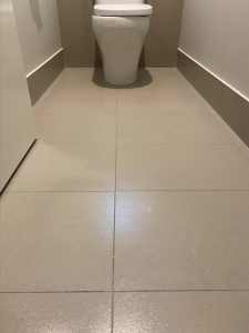 Non-slip toilet area